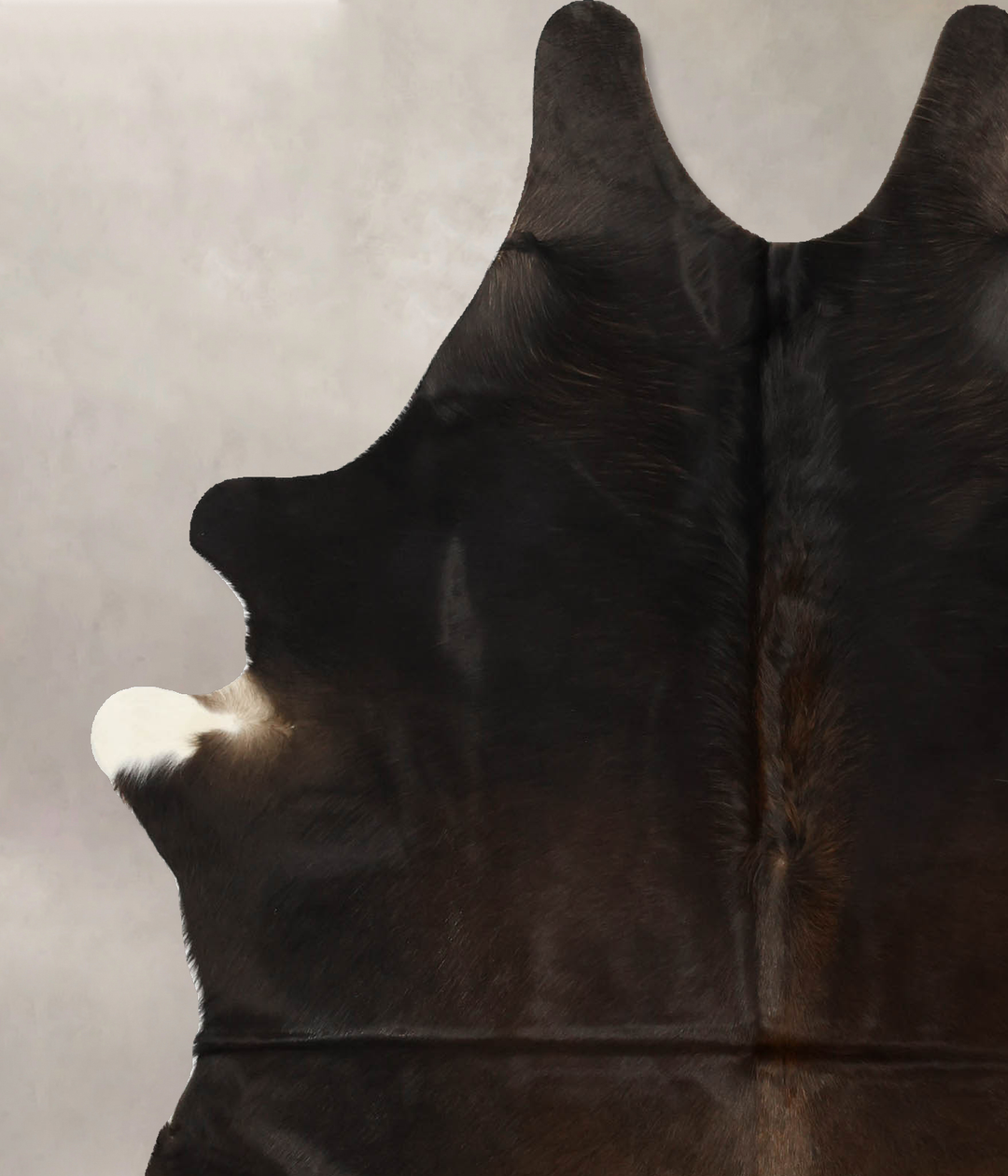 Chocolate Large Brazilian Cowhide Rug 6'4"H x 5'4"W #B11355 by Hudson 