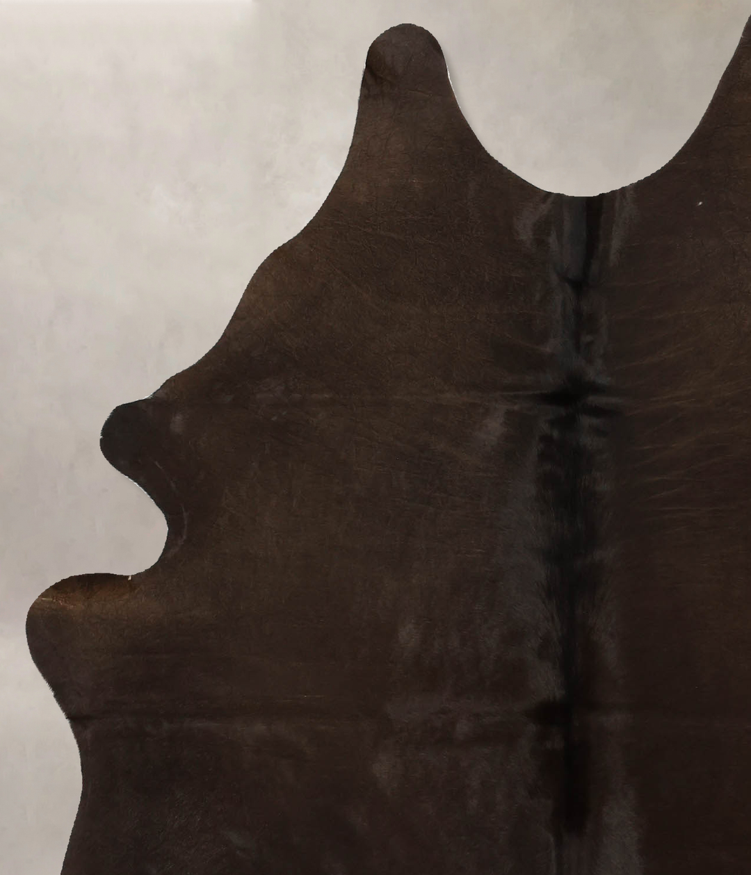 Chocolate Large Brazilian Cowhide Rug 6'1"H x 5'0"W #B11374 by Hudson 