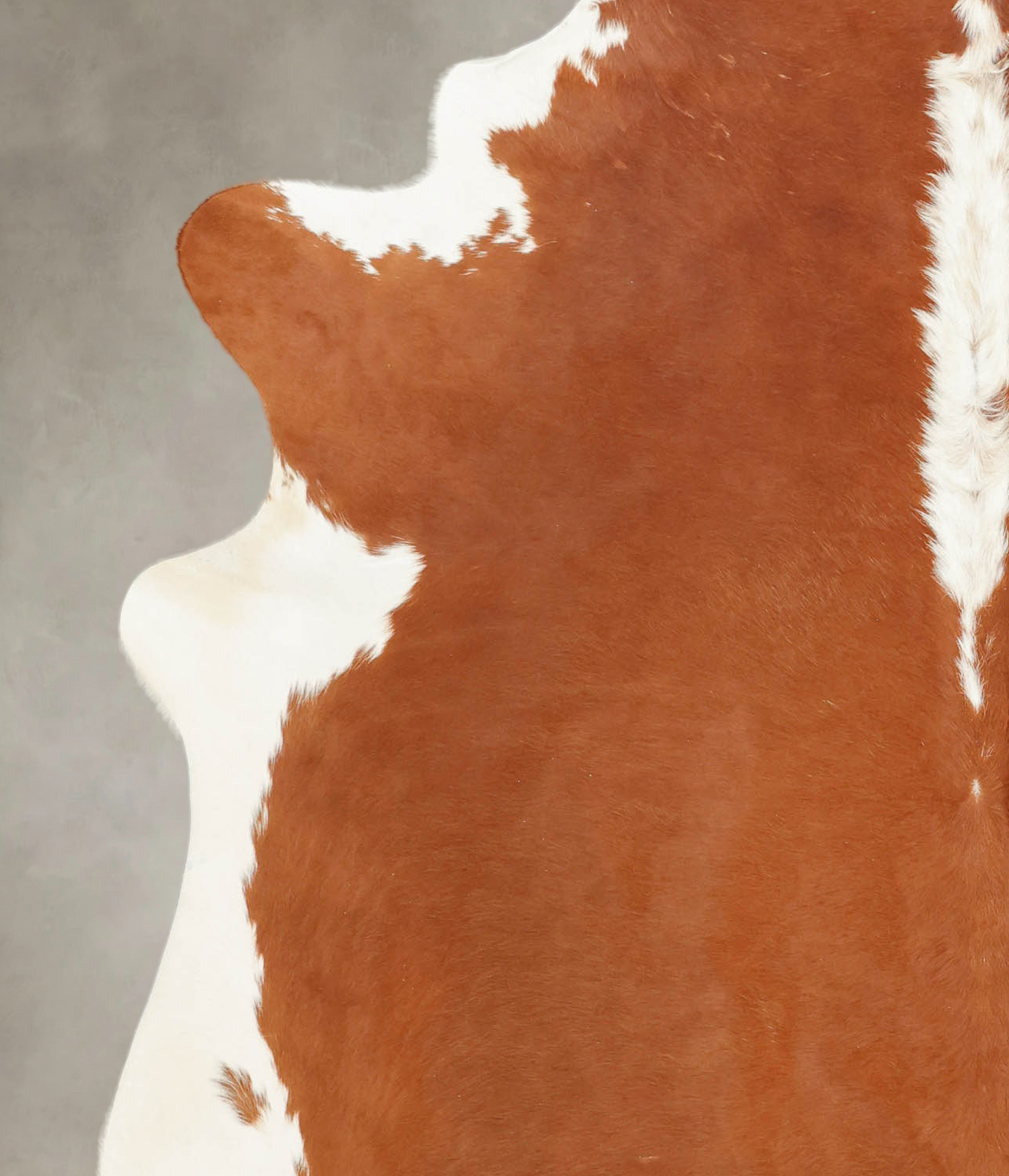 Hereford Cowhide Rug #B1139