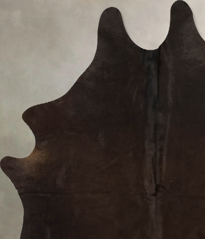 Chocolate Medium Brazilian Cowhide Rug 6'0"H x 4'9"W #B11427 by Hudson Hides