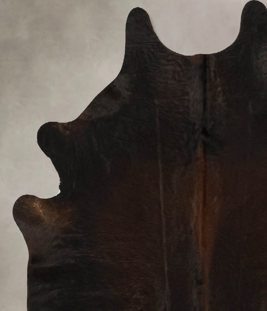 Chocolate Large Brazilian Cowhide Rug 5'9"H x 5'4"W #B11442 by Hudson 