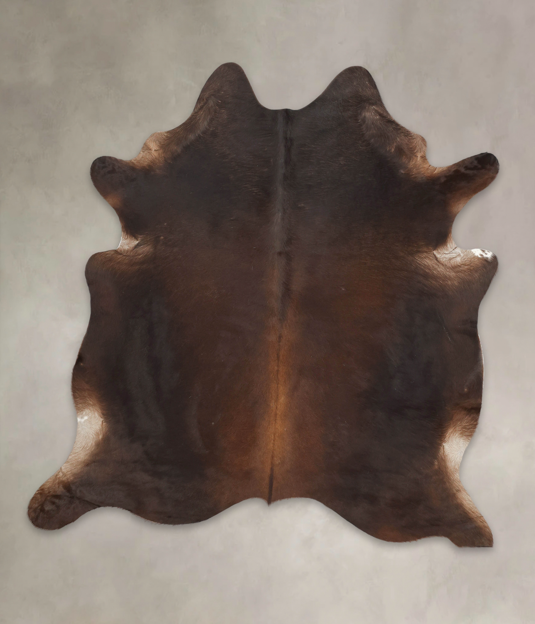 Chocolate Cowhide Rug #B1146