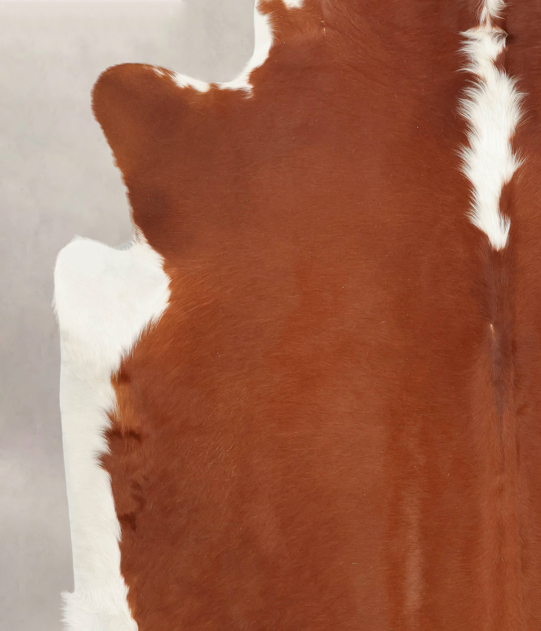 Hereford Cowhide Rug #B1149