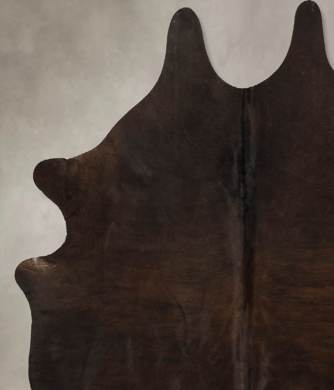 Chocolate Large Brazilian Cowhide Rug 5'10"H x 5'3"W #B11549 by Hudson
