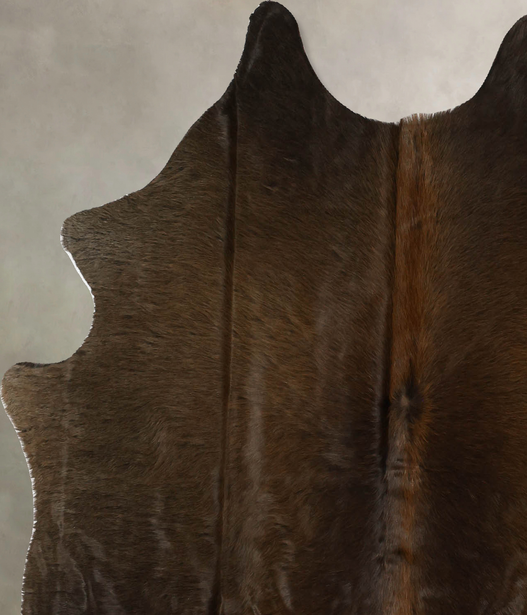 Chocolate Medium Brazilian Cowhide Rug 5'6"H x 5'0"W #B11675 by Hudson