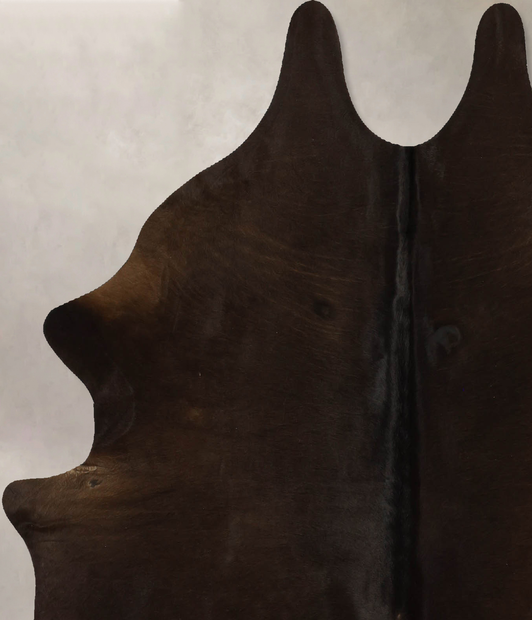 Chocolate Large Brazilian Cowhide Rug 6'2"H x 5'4"W #B11785 by Hudson 