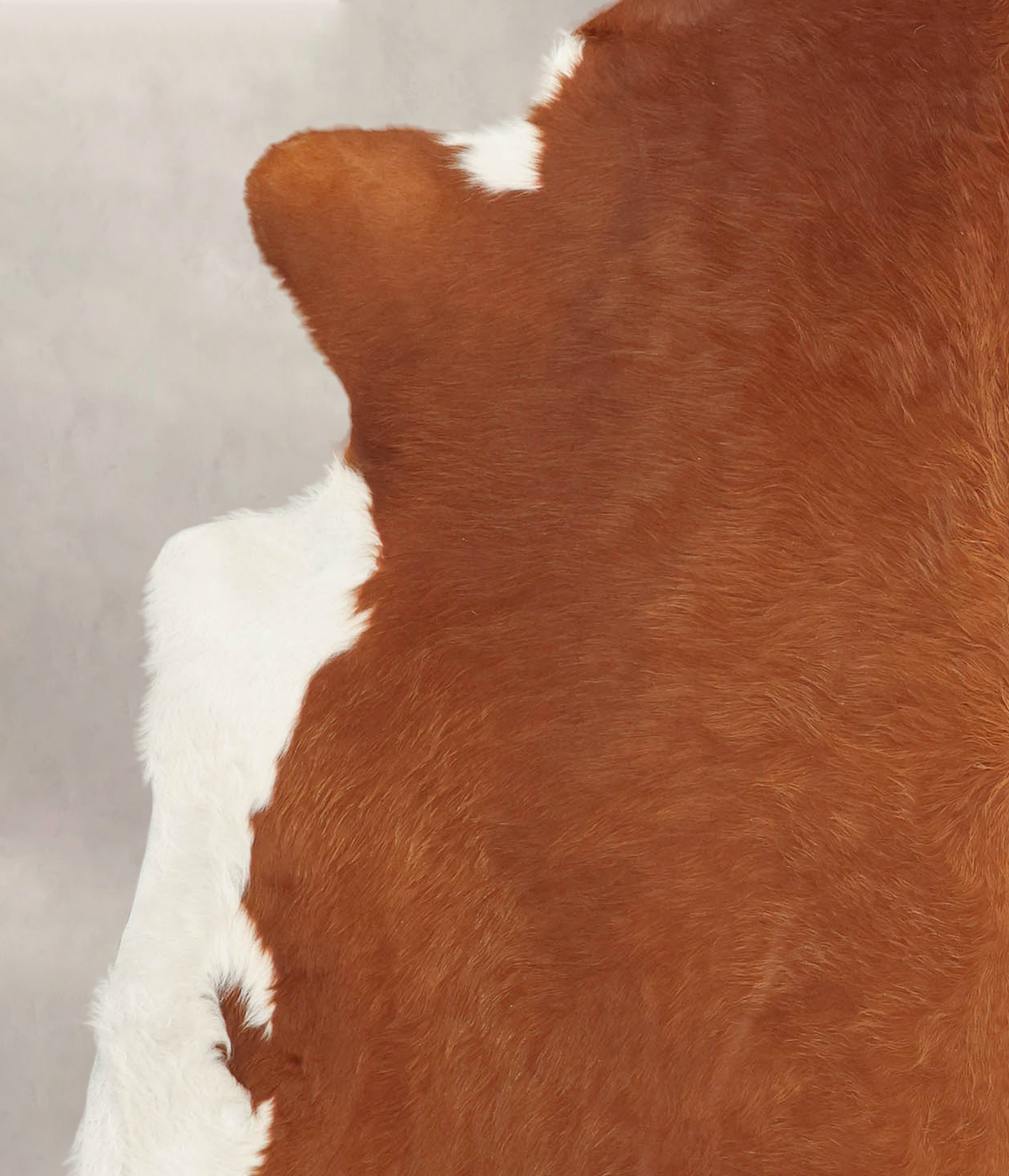 Brown and White Regular X-Large Brazilian Cowhide Rug 7'3"H x 6'5"W #B1180 by Hudson Hides