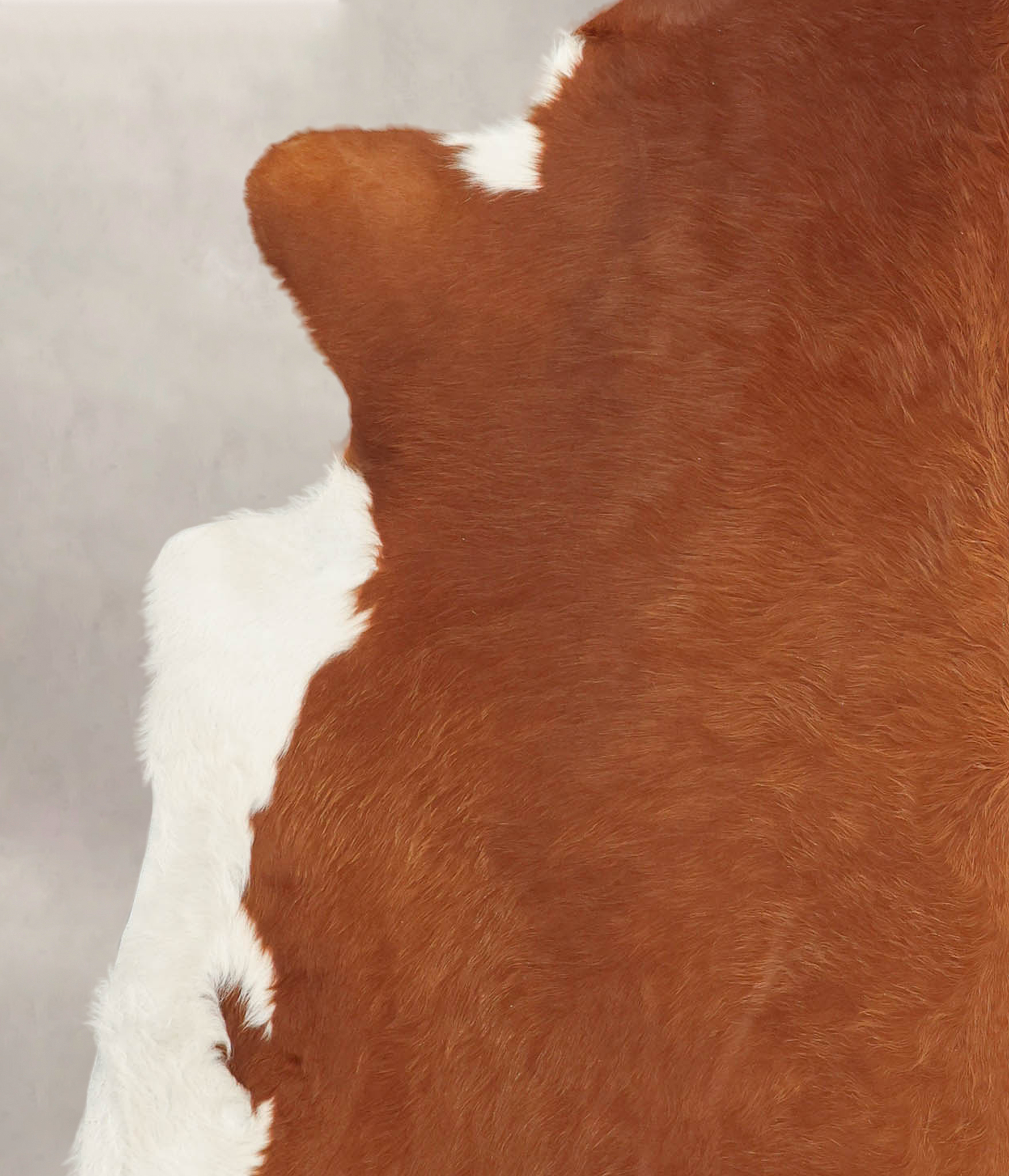 Brown and White Regular Cowhide Rug #B1180