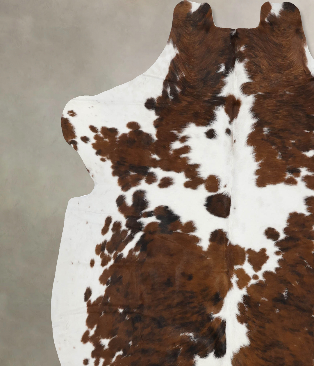 Tricolor X-Large European Cowhide Rug 7'0"H x 6'9"W #B11805 by Hudson 