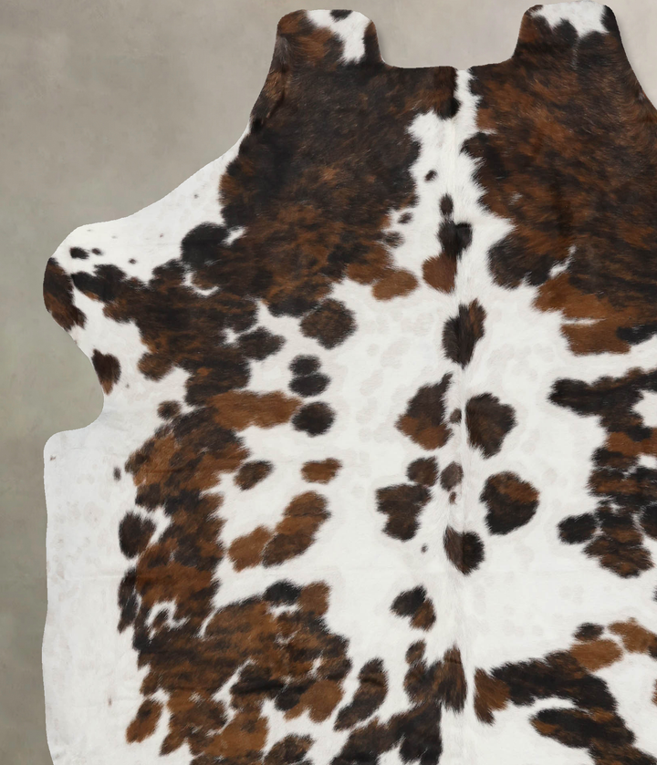 Tricolor X-Large European Cowhide Rug 7'3"H x 6'5"W #B11815 by Hudson Hides