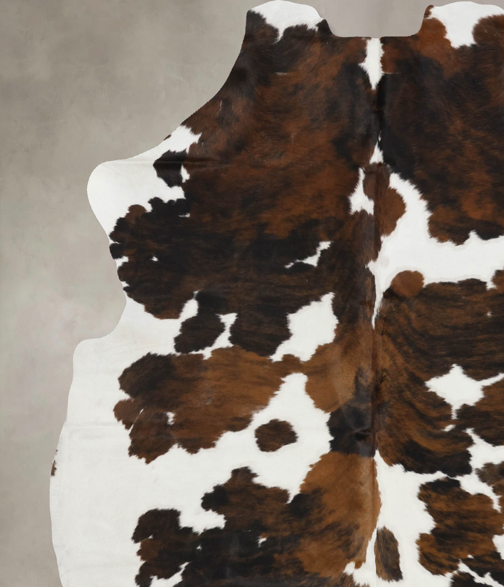 Tricolor X-Large European Cowhide Rug 7'4"H x 6'0"W #B11817 by Hudson Hides