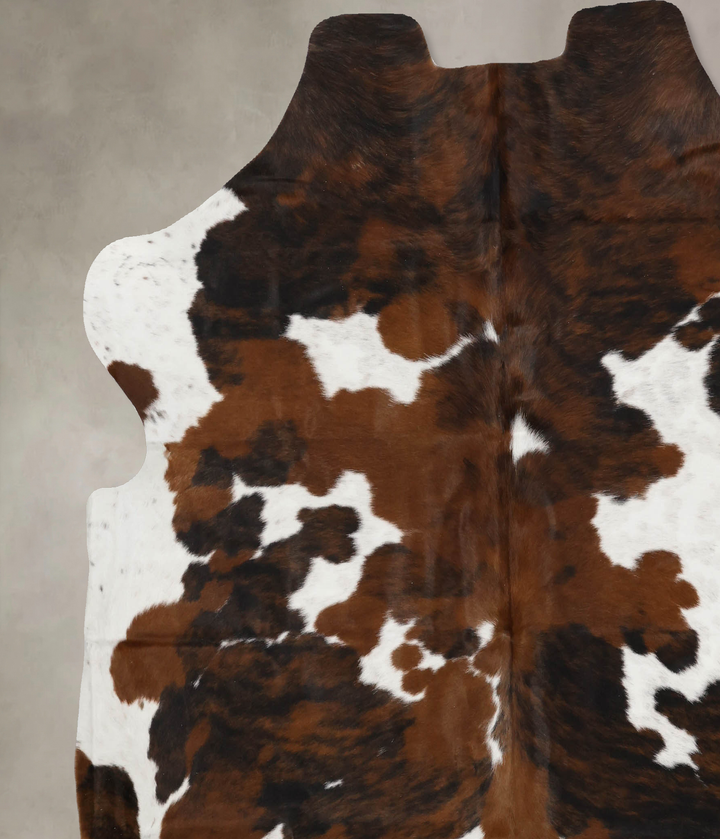 Tricolor X-Large European Cowhide Rug 7'2"H x 6'11"W #B11824 by Hudson Hides