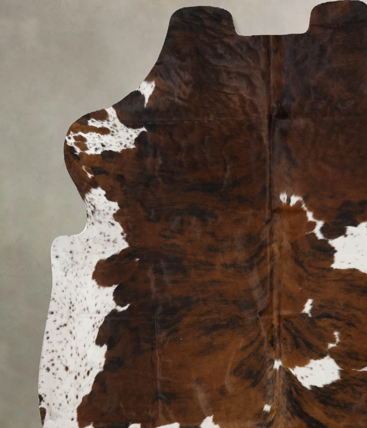 Tricolor X-Large European Cowhide Rug 7'1"H x 6'6"W #B11825 by Hudson Hides