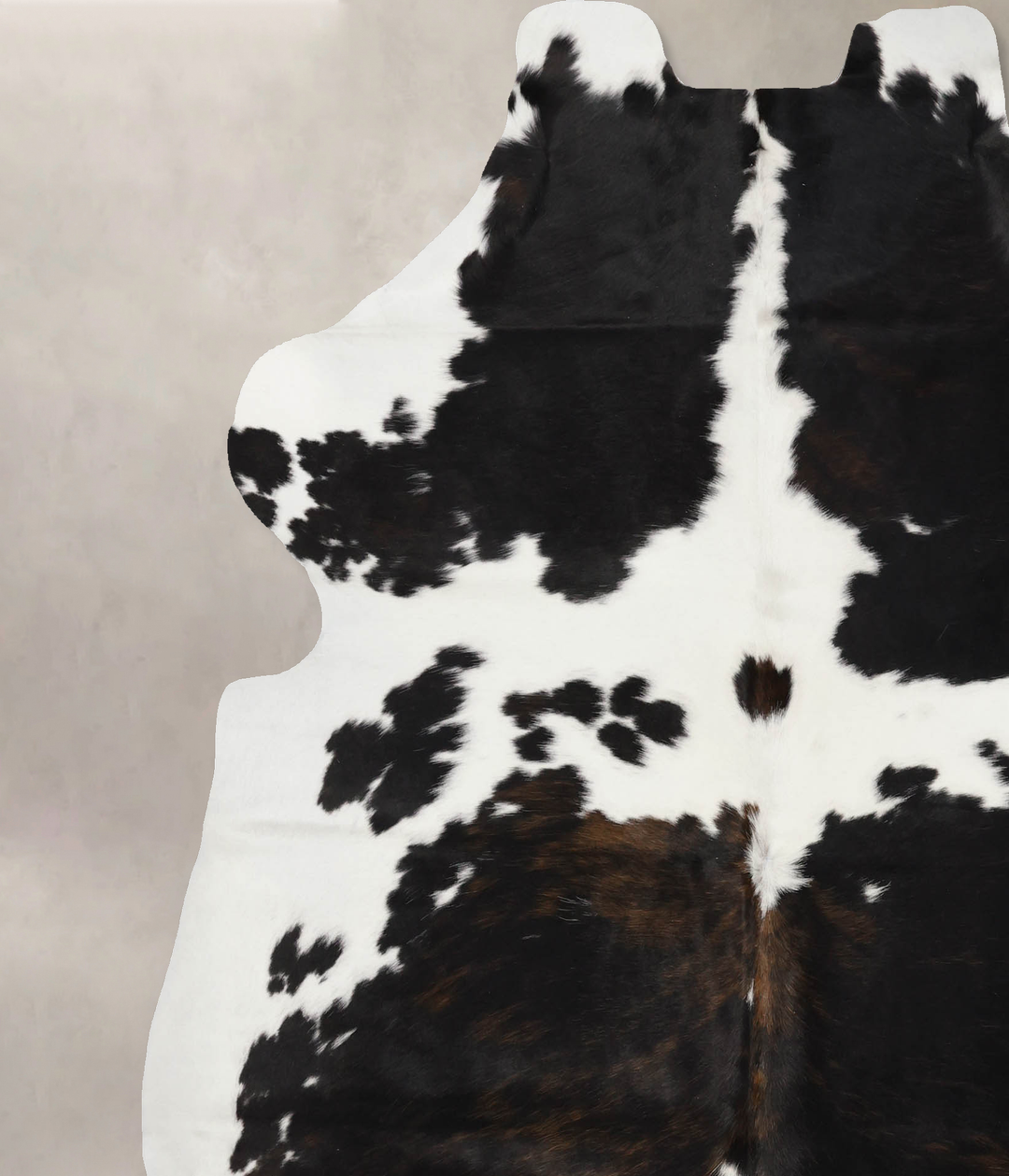 Tricolor X-Large European Cowhide Rug 7'1"H x 6'5"W #B11827 by Hudson 
