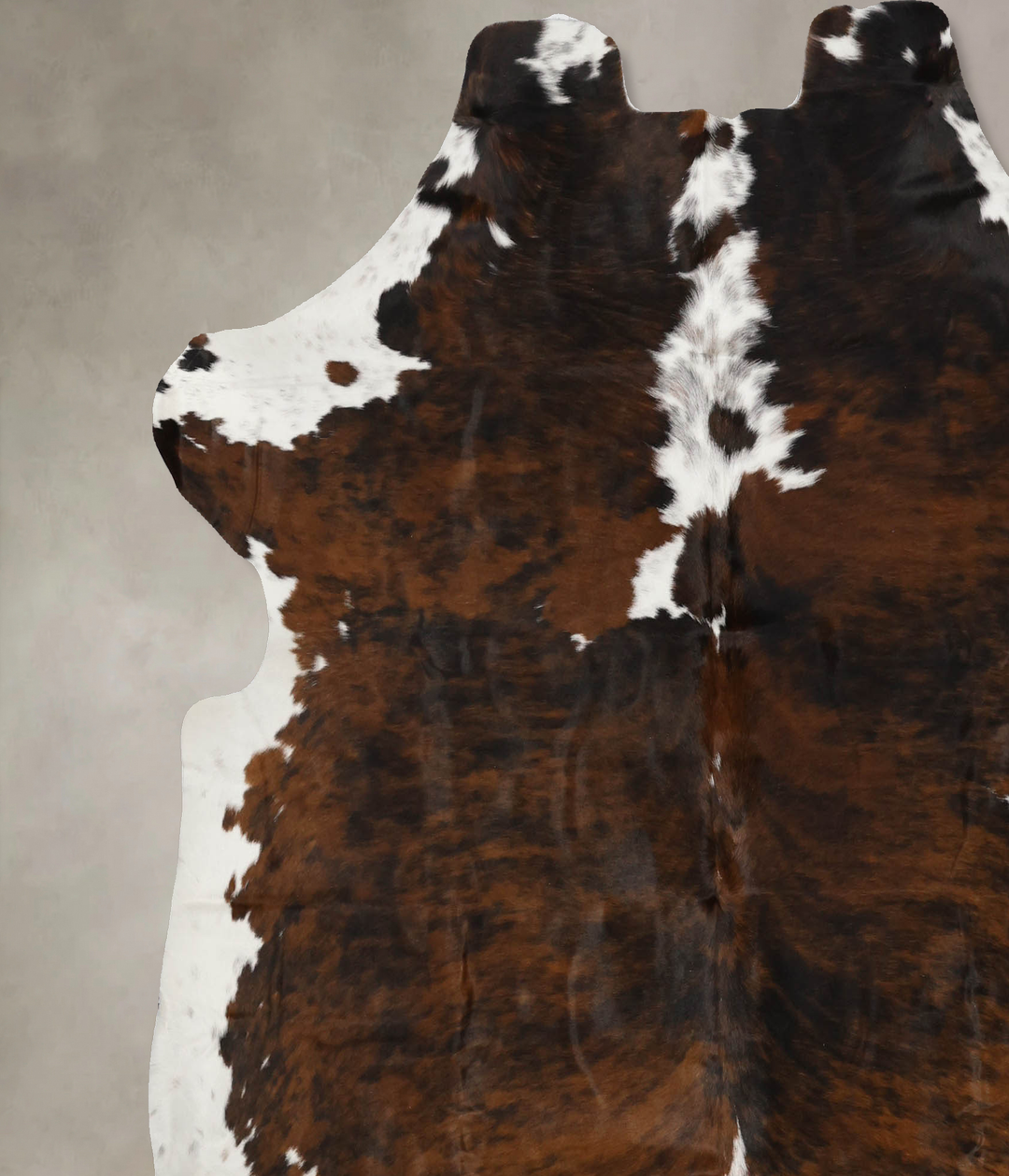 Tricolor X-Large European Cowhide Rug 6'11"H x 6'7"W #B11830 by Hudson