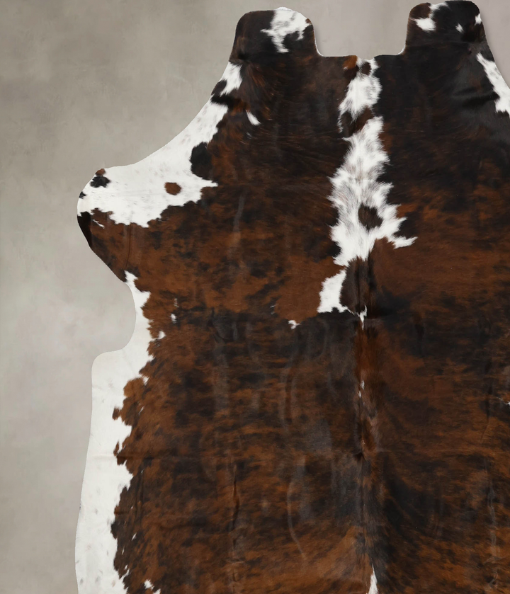 Tricolor X-Large European Cowhide Rug 6'11"H x 6'7"W #B11830 by Hudson Hides