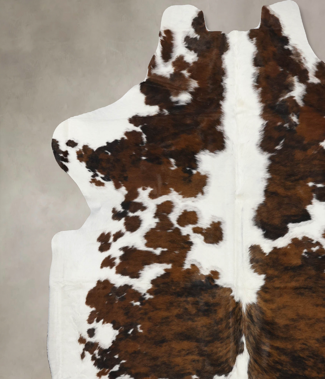 Tricolor X-Large European Cowhide Rug 7'2"H x 6'8"W #B11831 by Hudson 