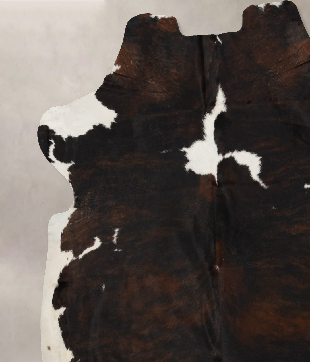 Tricolor X-Large European Cowhide Rug 7'3"H x 6'9"W #B11833 by Hudson 