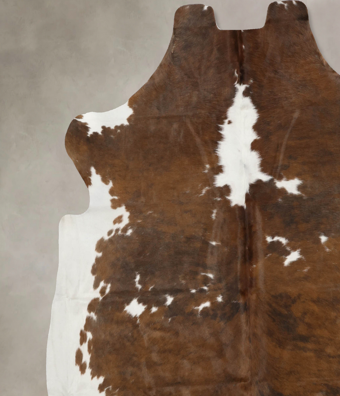 Tricolor X-Large European Cowhide Rug 7'1"H x 6'7"W #B11834 by Hudson 