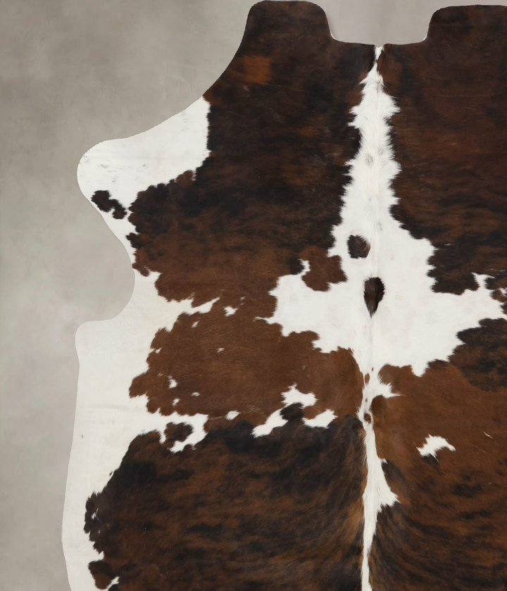 Tricolor X-Large European Cowhide Rug 6'9"H x 6'1"W #B11842 by Hudson Hides
