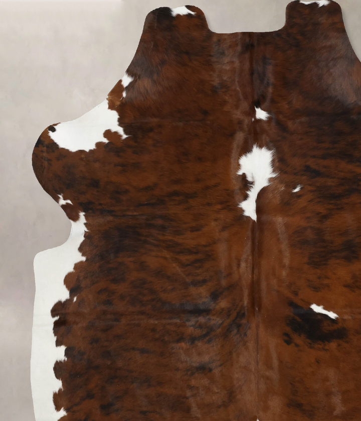 Tricolor X-Large European Cowhide Rug 7'0"H x 6'0"W #B11853 by Hudson Hides