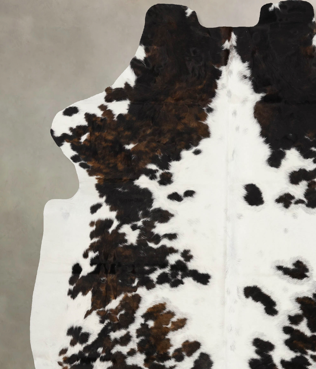 Tricolor X-Large European Cowhide Rug 7'1"H x 6'0"W #B11858 by Hudson 