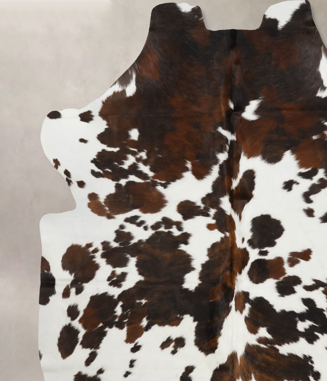 Tricolor X-Large European Cowhide Rug 7'2"H x 6'8"W #B11859 by Hudson 