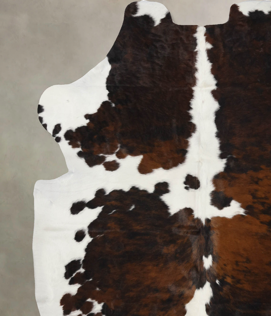 Tricolor X-Large European Cowhide Rug 7'2"H x 6'3"W #B11860 by Hudson 