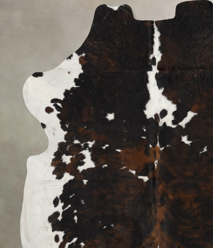 Tricolor X-Large European Cowhide Rug 7'1"H x 6'3"W #B11861 by Hudson Hides
