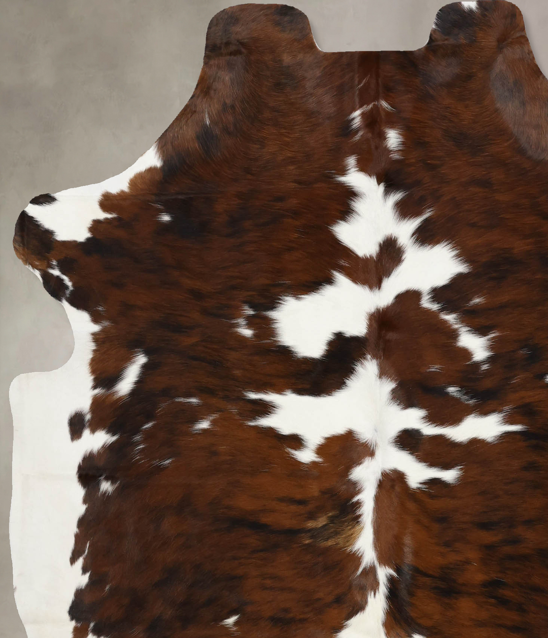 Tricolor X-Large European Cowhide Rug 7'0"H x 5'9"W #B11862 by Hudson 