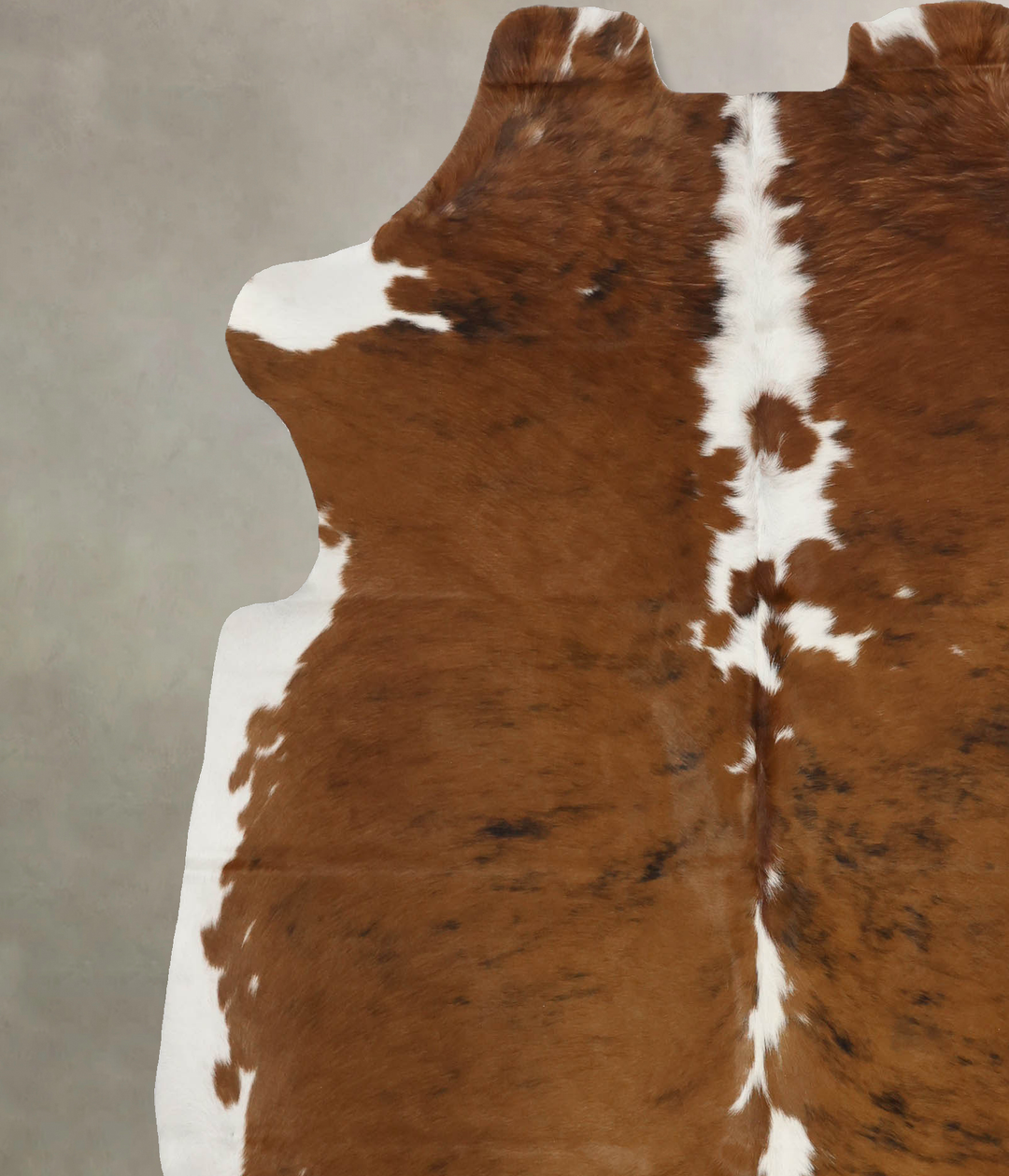 Tricolor X-Large European Cowhide Rug 7'1"H x 6'4"W #B11867 by Hudson 