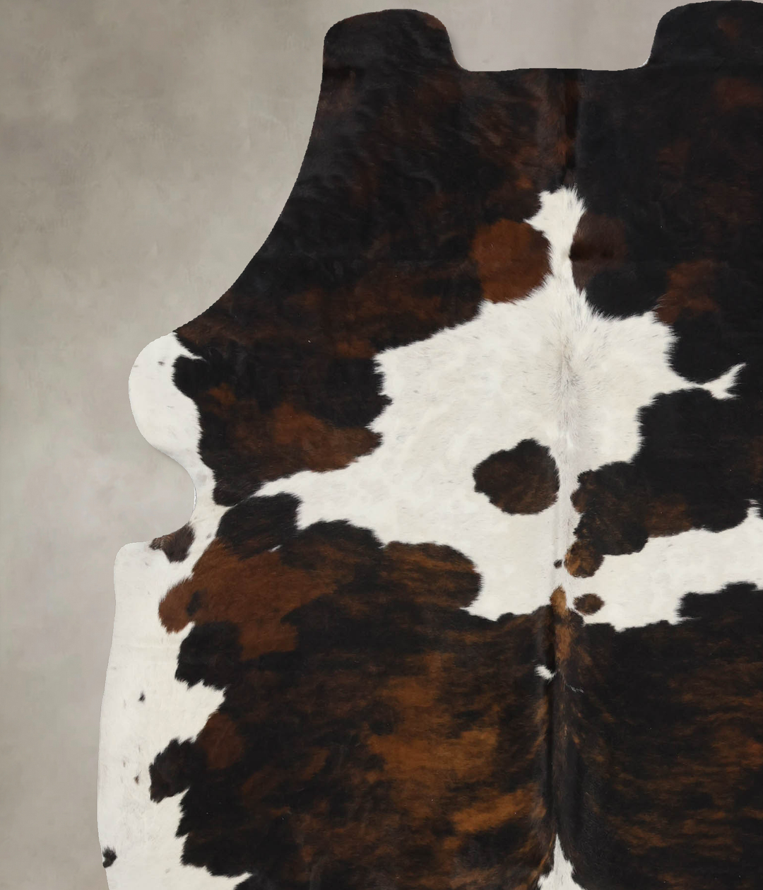 Tricolor X-Large European Cowhide Rug 6'11"H x 6'1"W #B11874 by Hudson