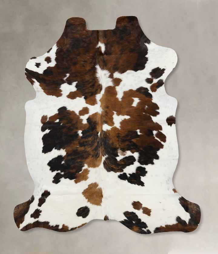 Tricolor X-Large European Cowhide Rug 6'10"H x 6'0"W #B11883 by Hudson Hides