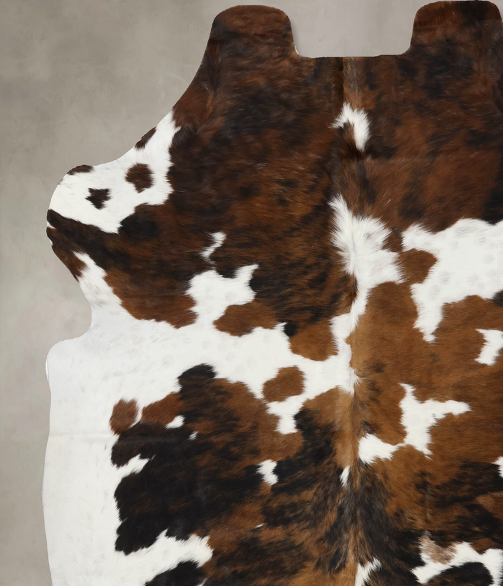 Tricolor X-Large European Cowhide Rug 6'10"H x 6'0"W #B11883 by Hudson Hides