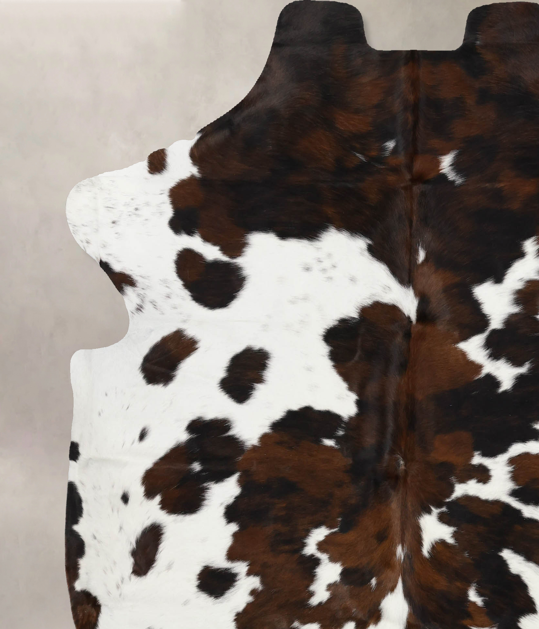 Tricolor X-Large European Cowhide Rug 7'1"H x 6'6"W #B11886 by Hudson 