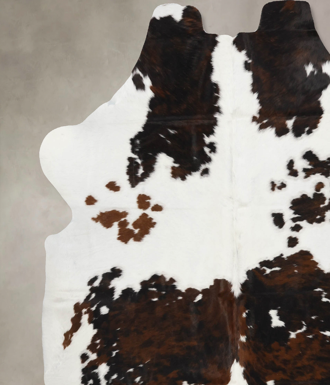 Tricolor X-Large European Cowhide Rug 7'1"H x 6'7"W #B11889 by Hudson 