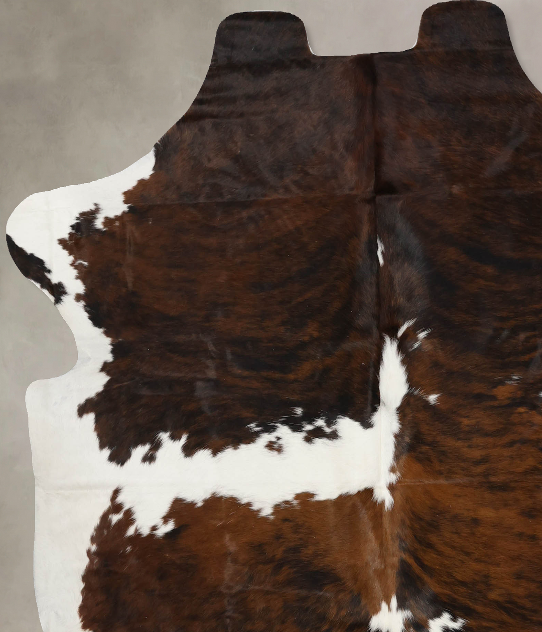 Tricolor X-Large European Cowhide Rug 7'2"H x 6'2"W #B11890 by Hudson 