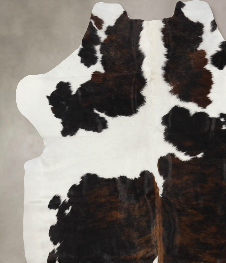 Tricolor X-Large European Cowhide Rug 7'0"H x 6'6"W #B11894 by Hudson Hides