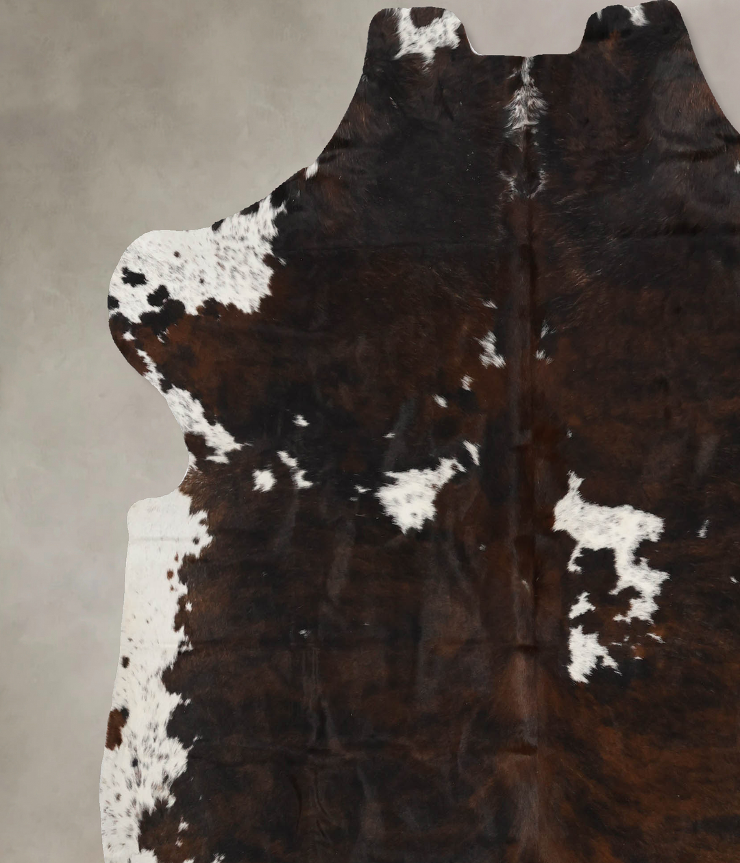 Tricolor X-Large European Cowhide Rug 7'1"H x 6'6"W #B11895 by Hudson 