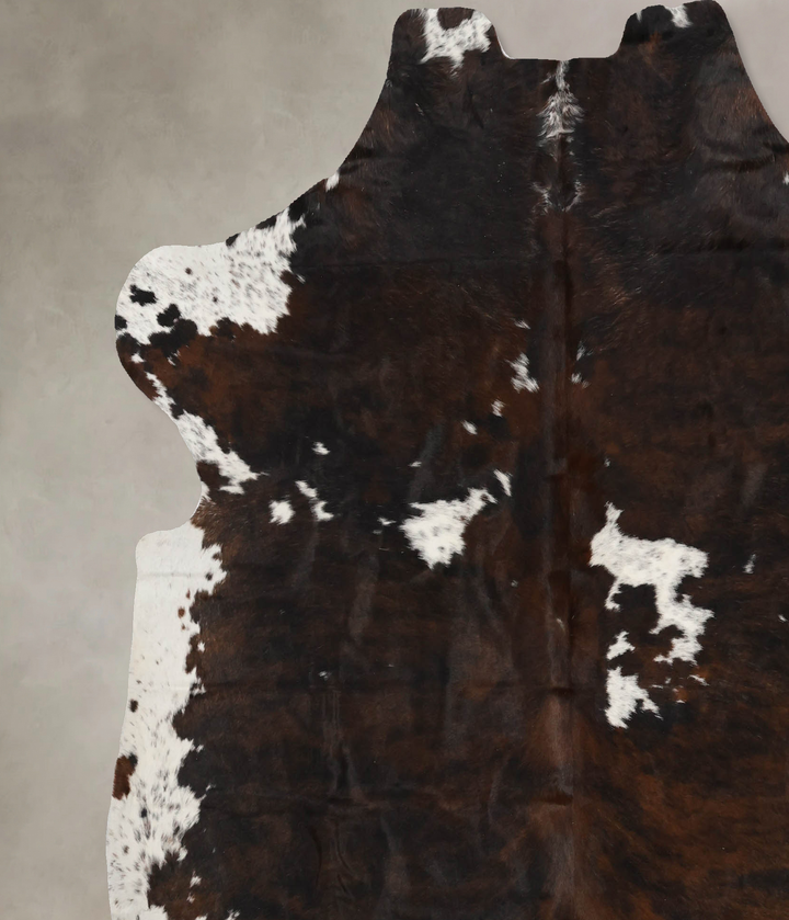 Tricolor X-Large European Cowhide Rug 7'1"H x 6'6"W #B11895 by Hudson Hides