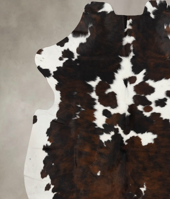 Tricolor X-Large European Cowhide Rug 7'2"H x 6'5"W #B11904 by Hudson Hides
