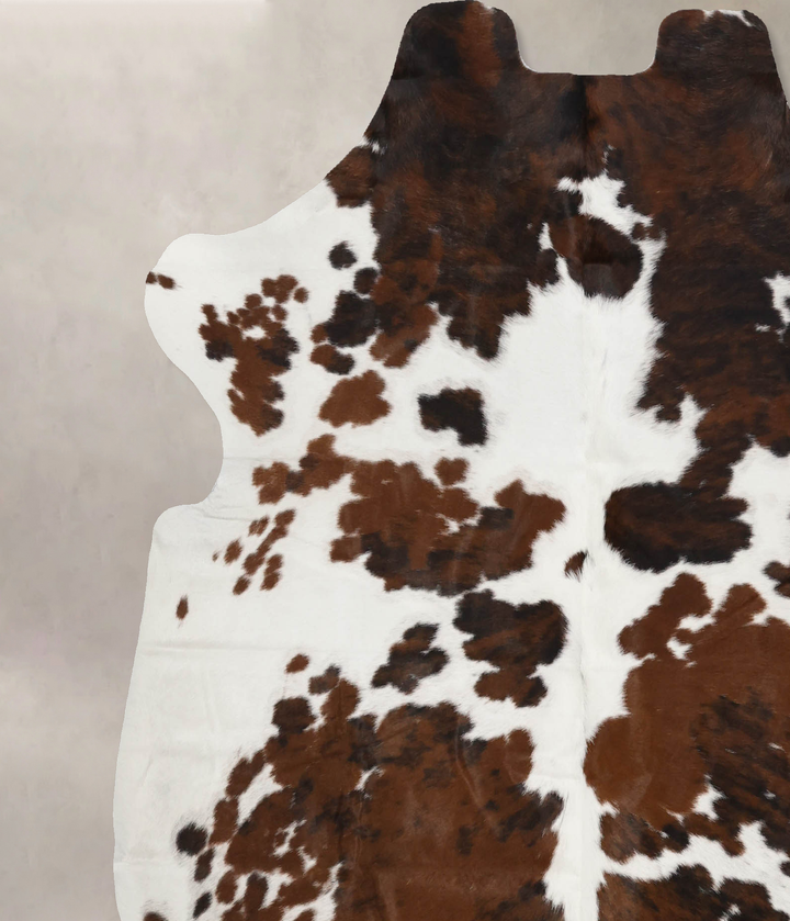 Tricolor X-Large European Cowhide Rug 6'9"H x 6'2"W #B11905 by Hudson Hides