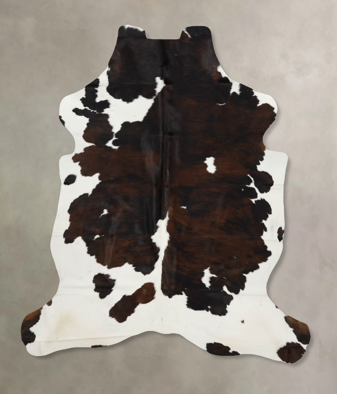 Tricolor X-Large European Cowhide Rug 7'1"H x 5'8"W #B11907 by Hudson 