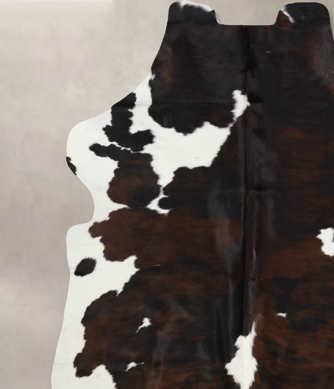 Tricolor X-Large European Cowhide Rug 7'1"H x 5'8"W #B11907 by Hudson 