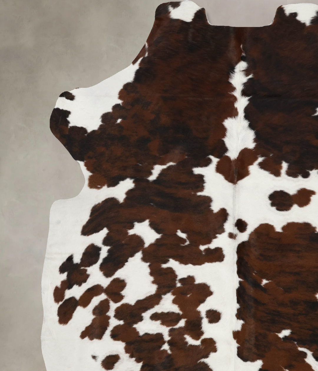 Tricolor X-Large European Cowhide Rug 7'6"H x 6'1"W #B11909 by Hudson 