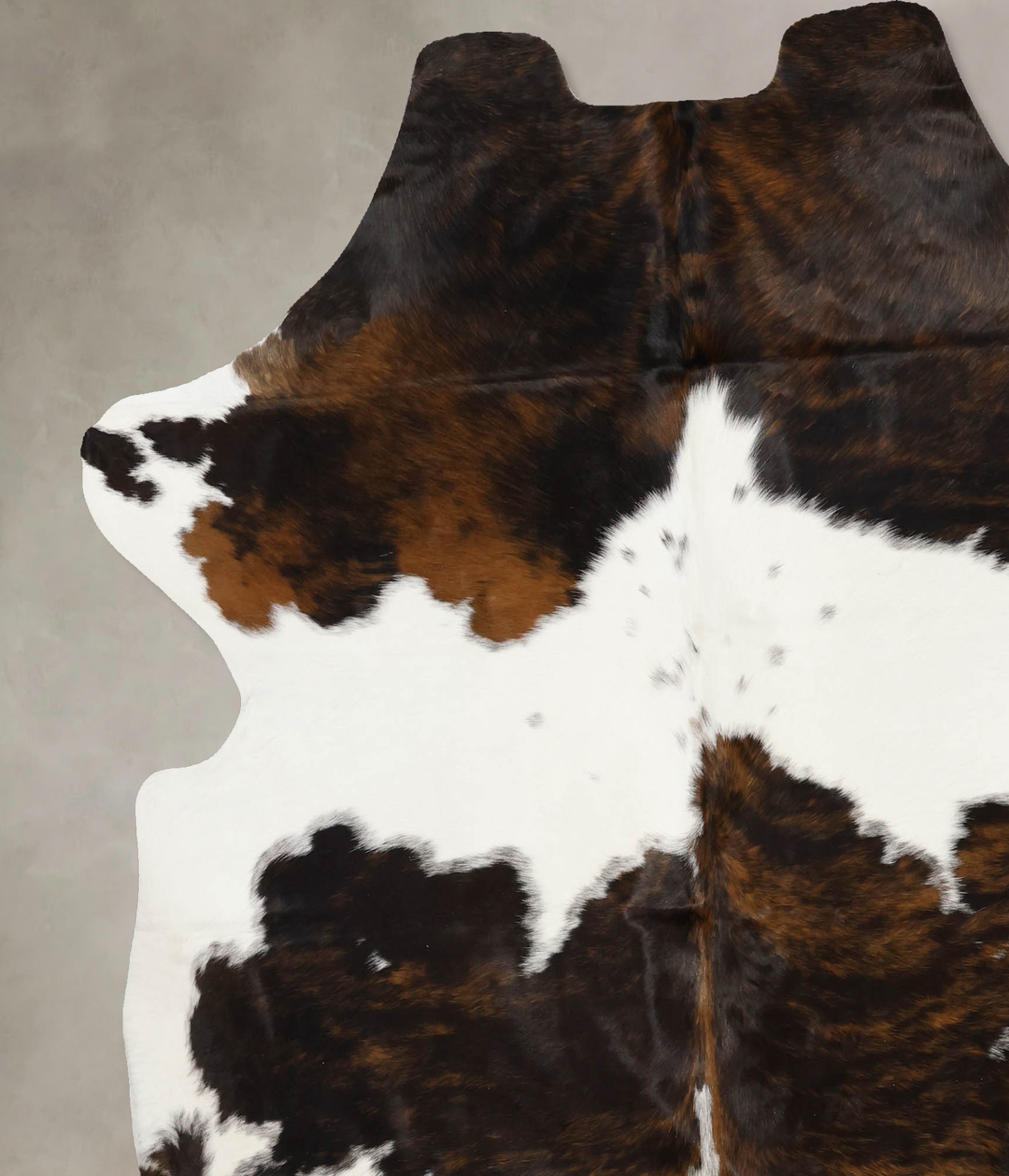 Tricolor X-Large European Cowhide Rug 7'2"H x 6'9"W #B11913 by Hudson 