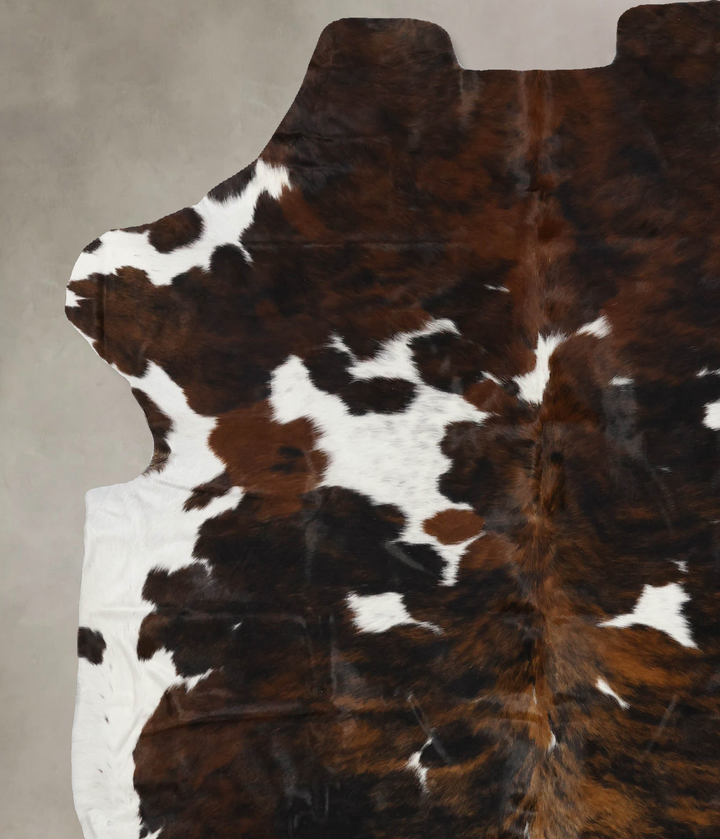 Tricolor X-Large European Cowhide Rug 7'2"H x 6'2"W #B11915 by Hudson Hides