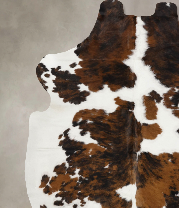 Tricolor X-Large European Cowhide Rug 7'0"H x 6'0"W #B11921 by Hudson Hides
