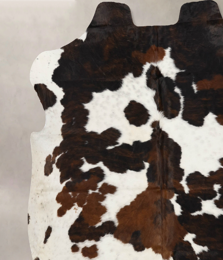 Tricolor X-Large European Cowhide Rug 6'10"H x 6'8"W #B11923 by Hudson Hides
