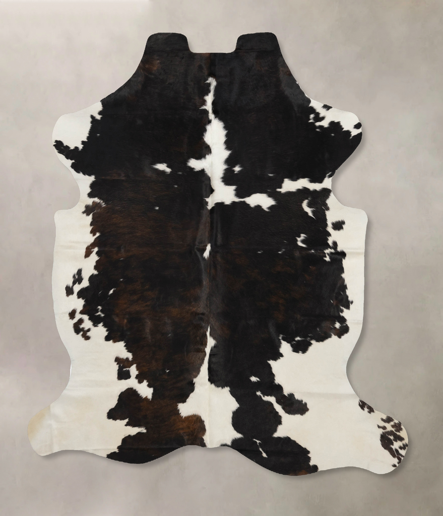 Tricolor X-Large European Cowhide Rug 7'2"H x 6'1"W #B11924 by Hudson Hides